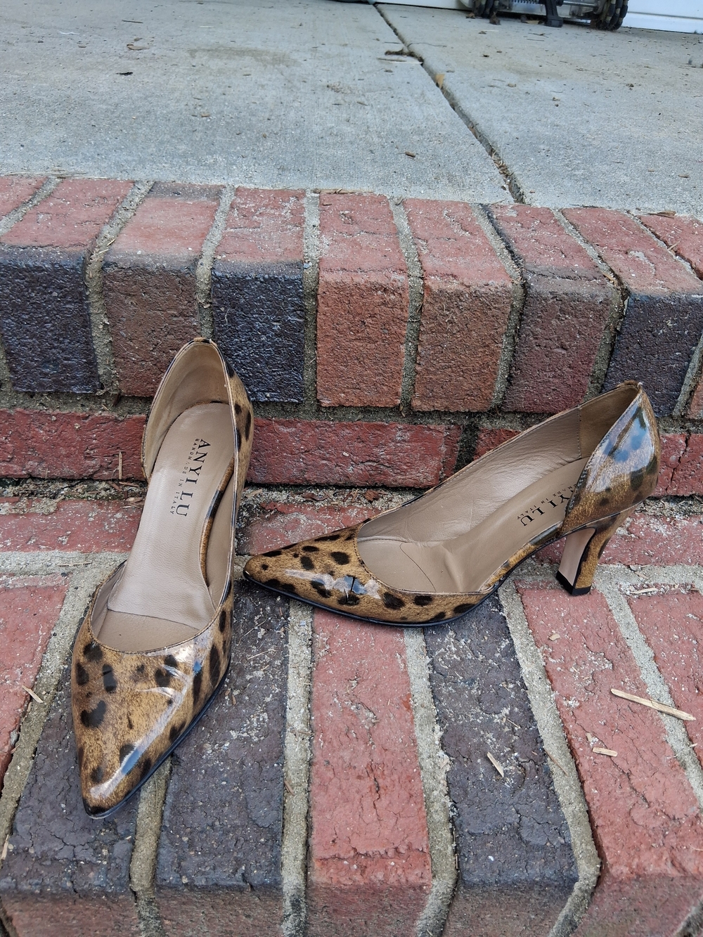 Anyi Lu Leopard-Print Pointed Toe Pumps in Brown and Black